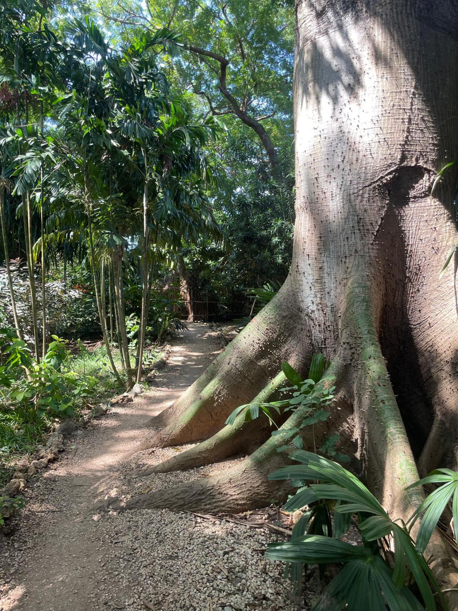 Mbweni Ruins & Gardens Previously Jungle Paradise Zanzibar Εξωτερικό φωτογραφία