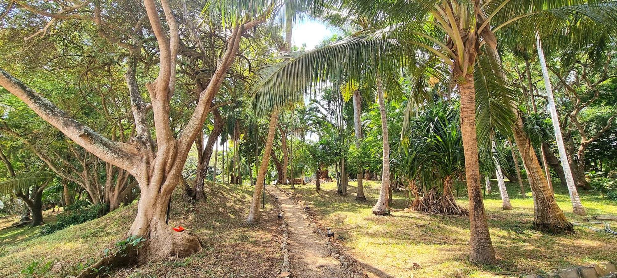 Mbweni Ruins & Gardens Previously Jungle Paradise Zanzibar Εξωτερικό φωτογραφία
