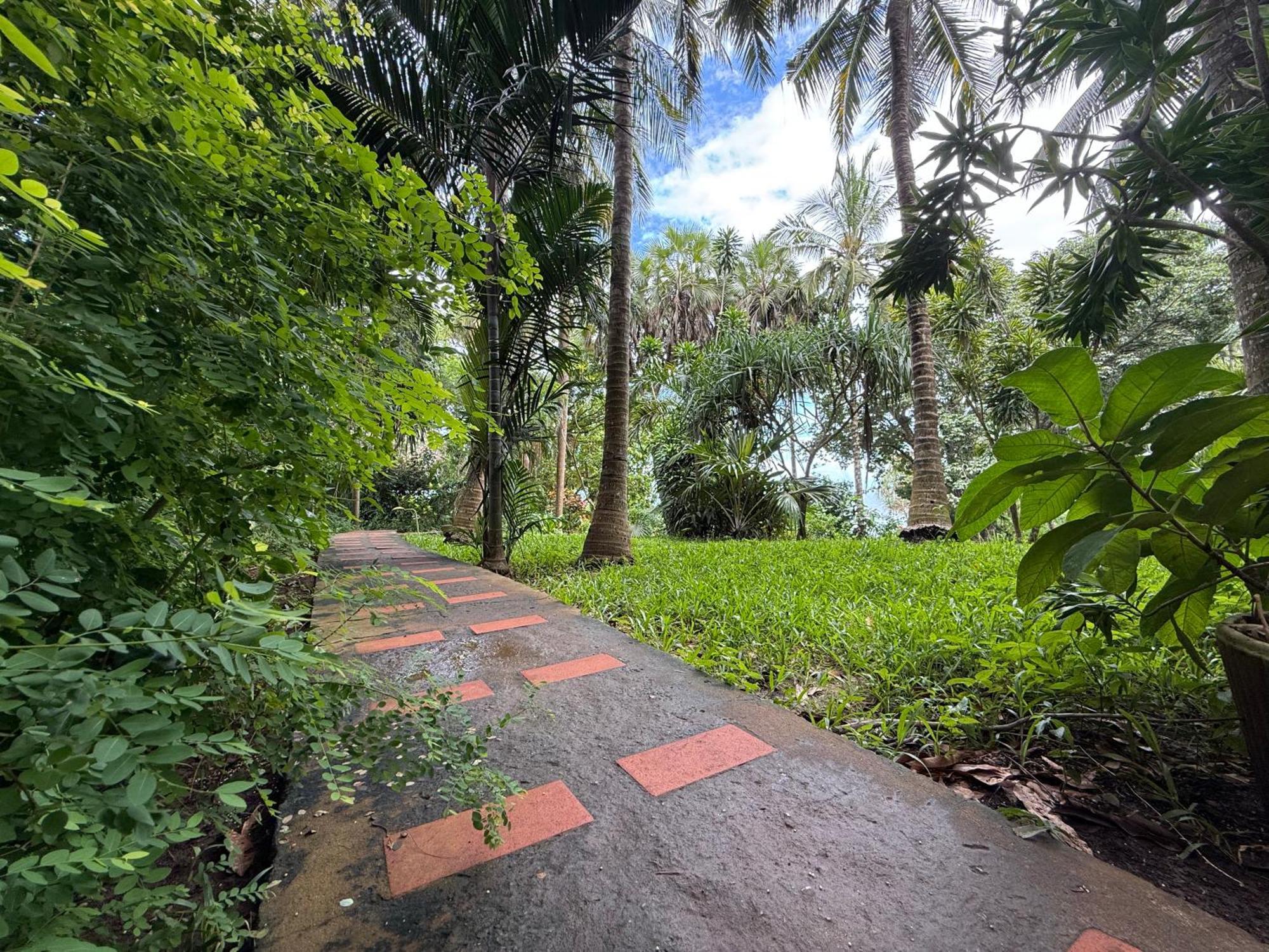 Mbweni Ruins & Gardens Previously Jungle Paradise Zanzibar Εξωτερικό φωτογραφία