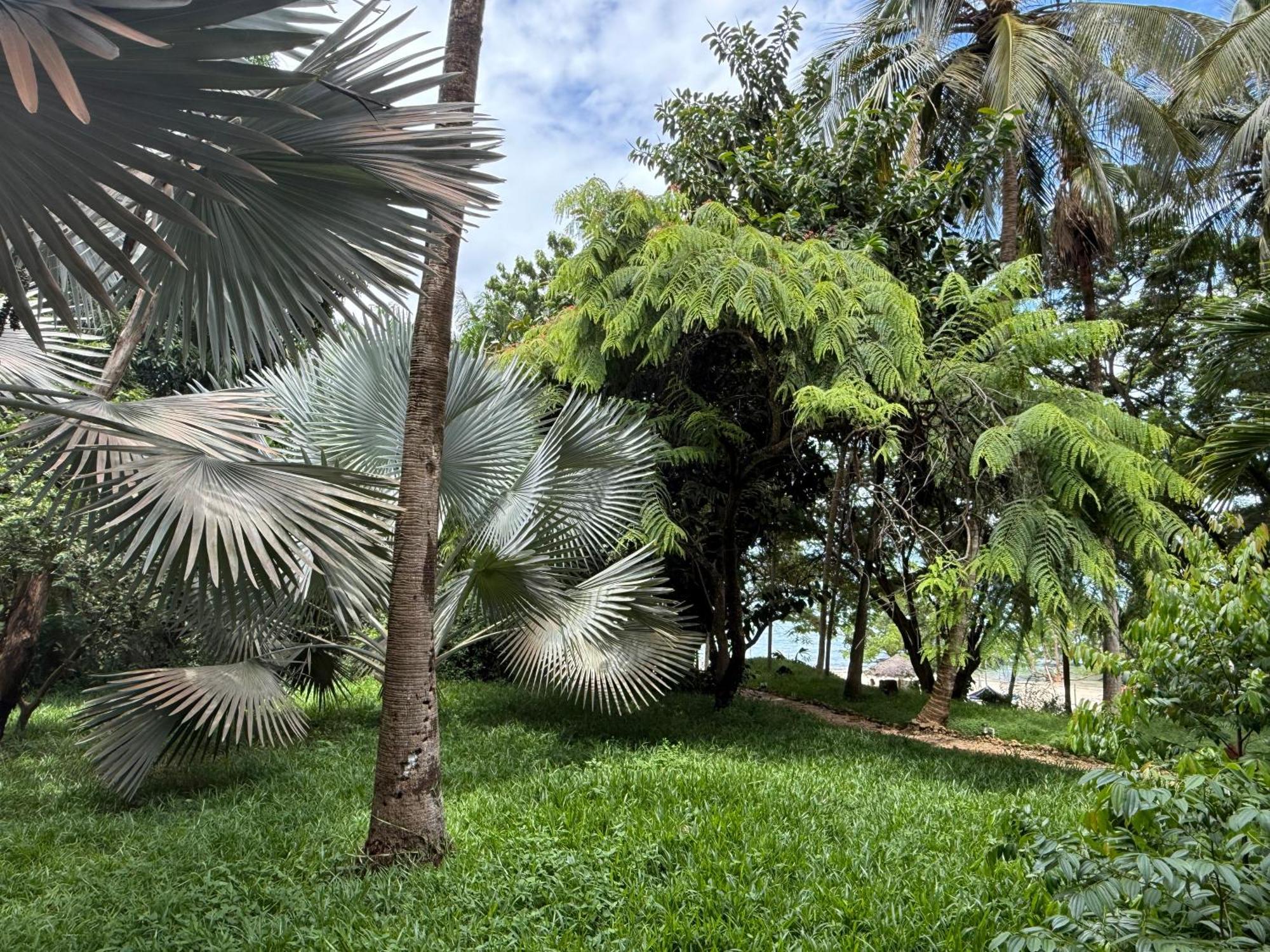 Mbweni Ruins & Gardens Previously Jungle Paradise Zanzibar Εξωτερικό φωτογραφία